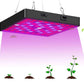 LikeSun Grow Light 1500 watt